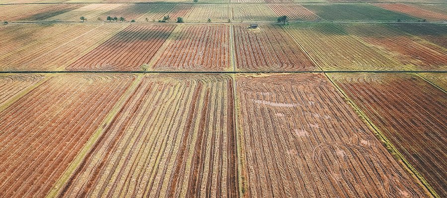 Inovação e Sustentabilidade: A Vanguarda da Engenharia Ambiental